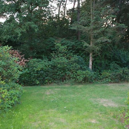 Bungalow Hartje Veluwe Otterlo Εξωτερικό φωτογραφία
