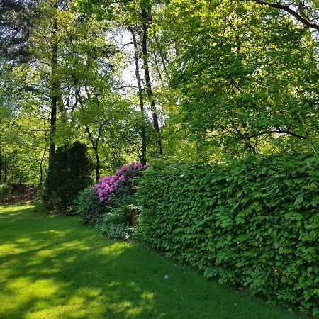 Bungalow Hartje Veluwe Otterlo Εξωτερικό φωτογραφία