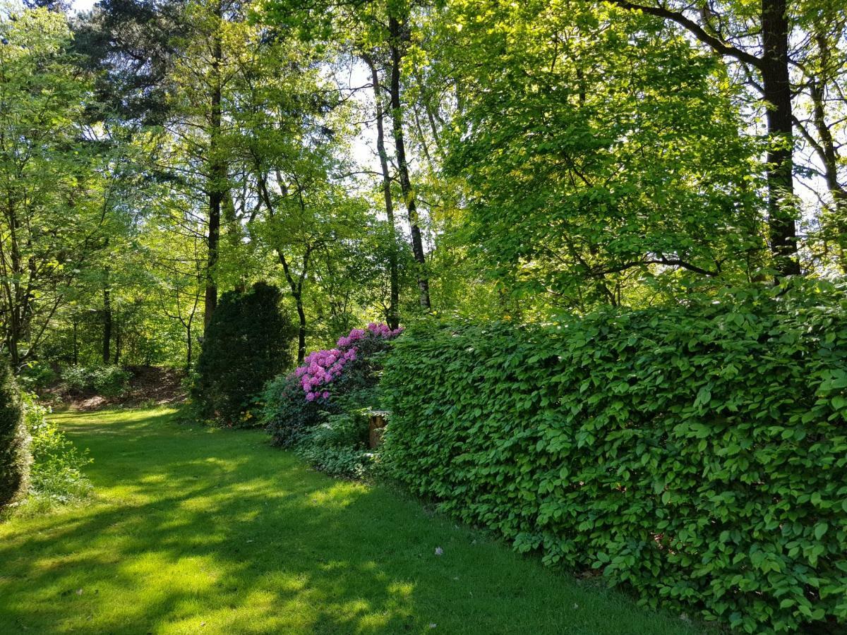 Bungalow Hartje Veluwe Otterlo Εξωτερικό φωτογραφία