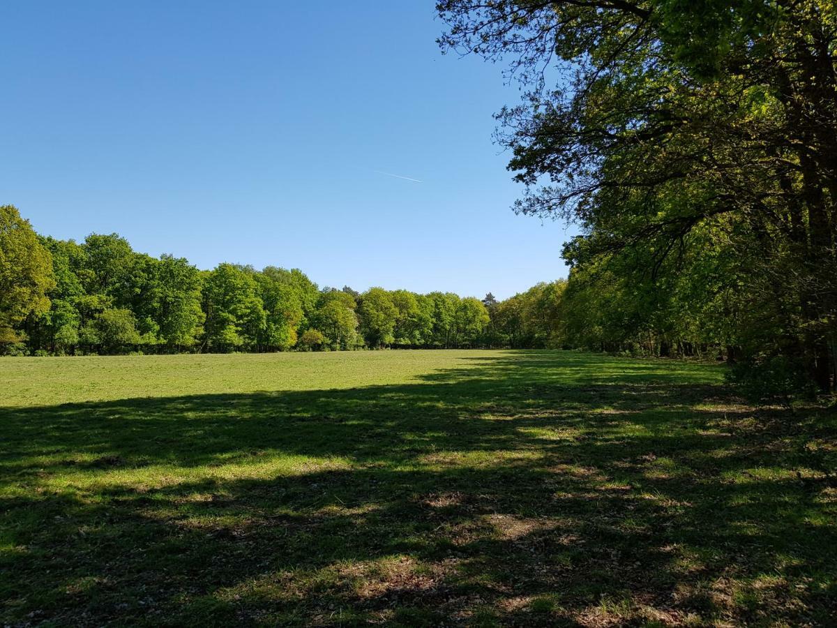 Bungalow Hartje Veluwe Otterlo Εξωτερικό φωτογραφία