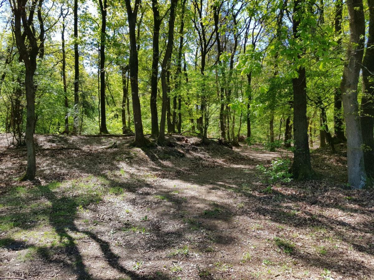 Bungalow Hartje Veluwe Otterlo Εξωτερικό φωτογραφία