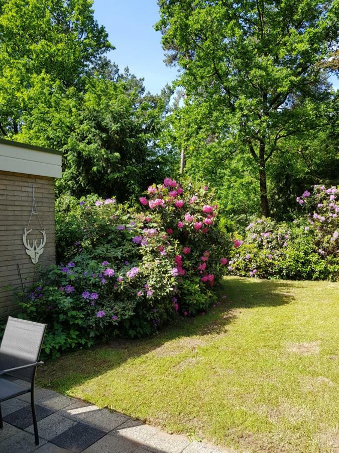 Bungalow Hartje Veluwe Otterlo Εξωτερικό φωτογραφία