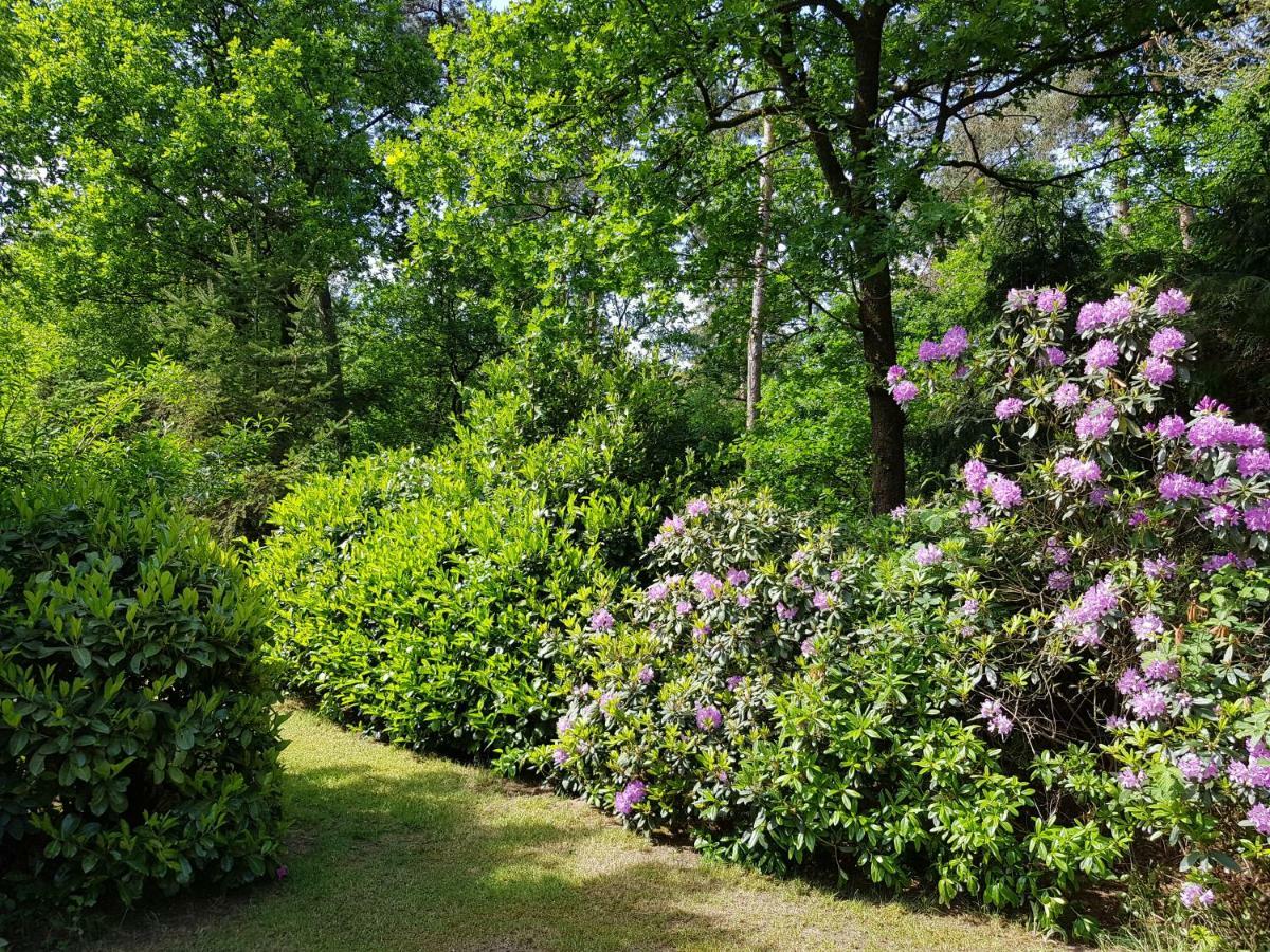 Bungalow Hartje Veluwe Otterlo Εξωτερικό φωτογραφία