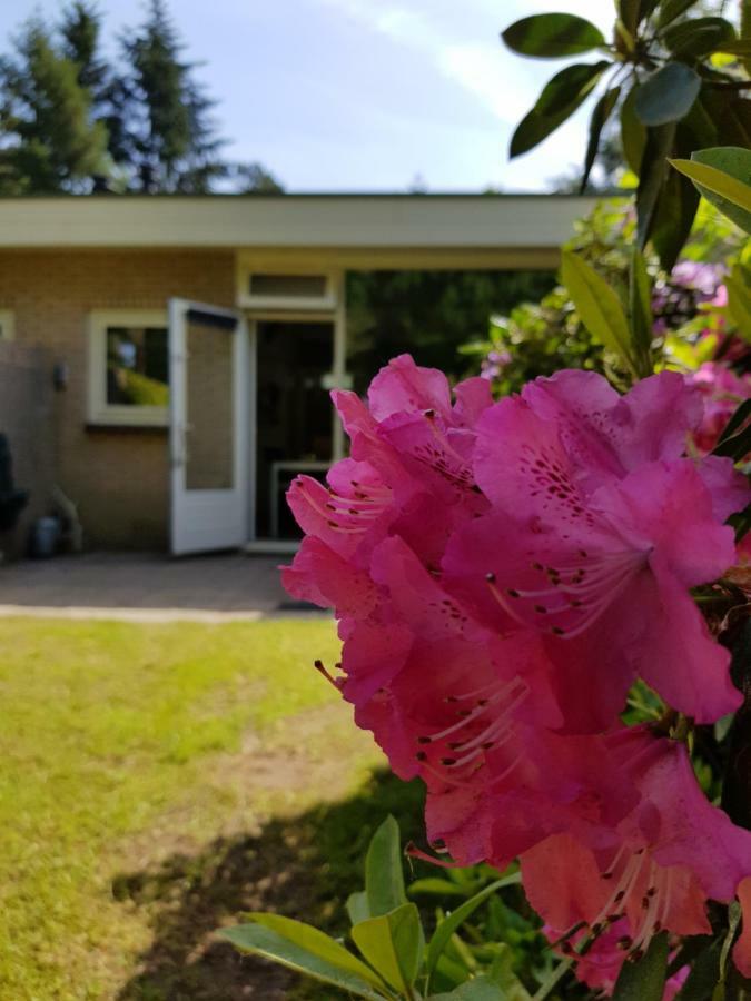 Bungalow Hartje Veluwe Otterlo Εξωτερικό φωτογραφία